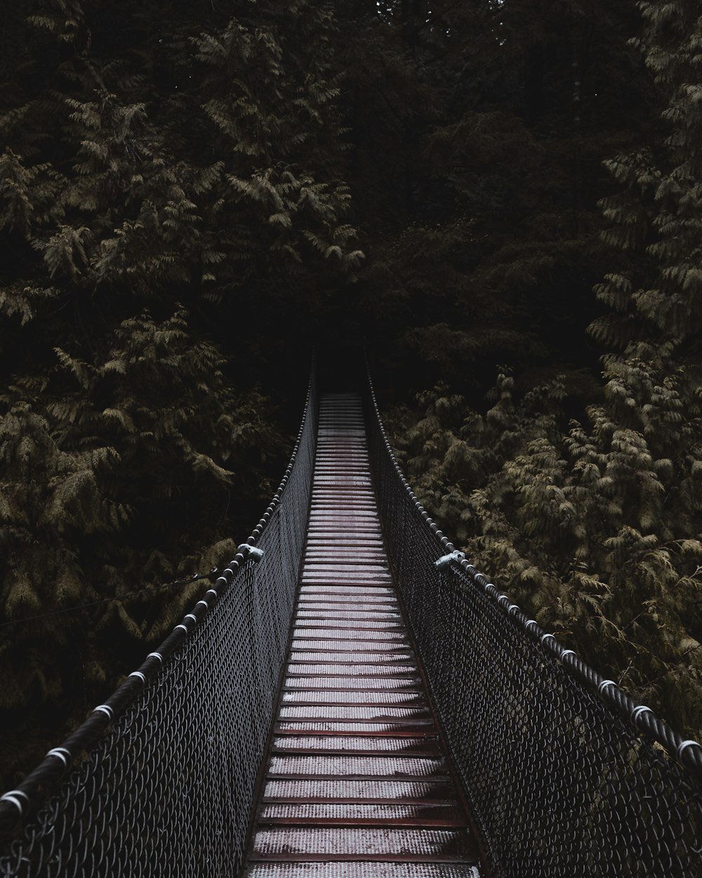 black bridge near trees