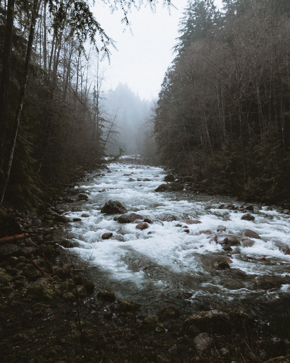 immagine di paesaggio di un fiume