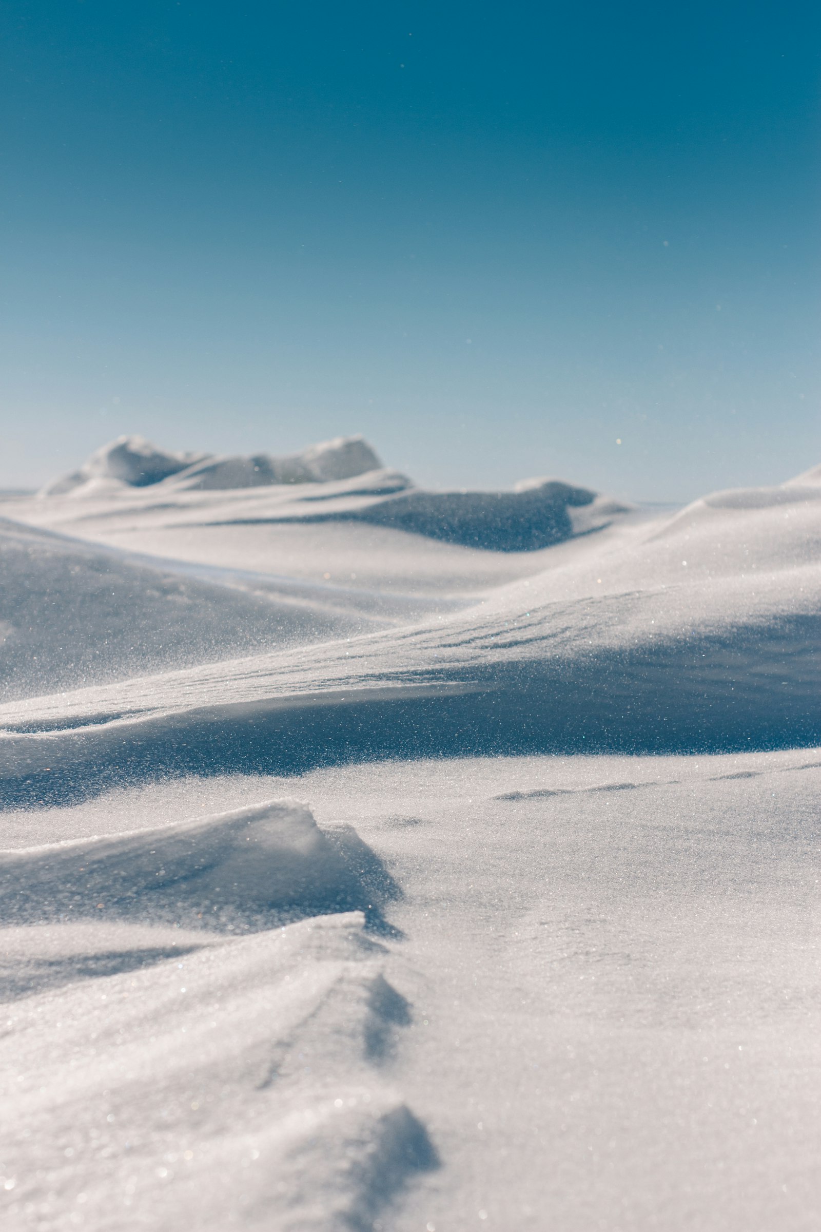 Canon EOS 700D (EOS Rebel T5i / EOS Kiss X7i) + Yongnuo YN 50mm f/1.8 sample photo. White sand photography