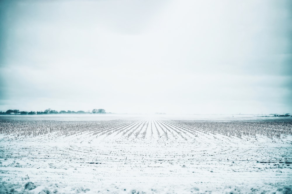 white field during daytime