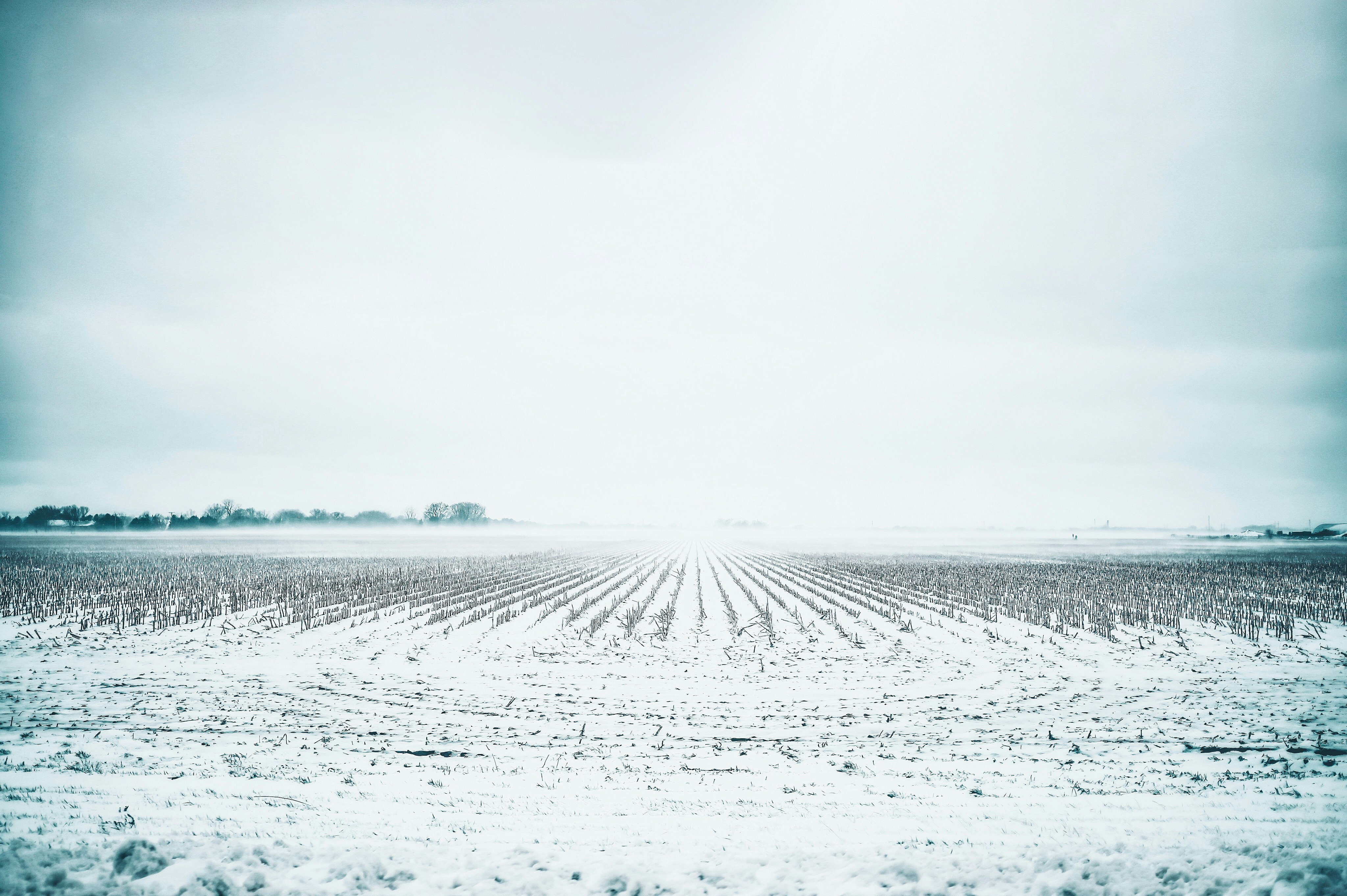 white field during daytime