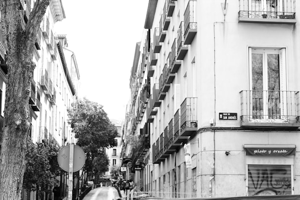 A narrow street scene featuring tall buildings with wrought iron balconies. A large tree is on the left, and a street sign reads 'Calle de San Andrés'. A shop sign advertising 'gelato y orxata' is visible, and there is a parked car along the street.