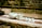 Several pieces of white ceramic, including a bowl, a jug, and three small cups, are arranged on a rustic stone surface. The background consists of a weathered brick wall and patches of greenery, giving the scene an antique and serene ambiance.