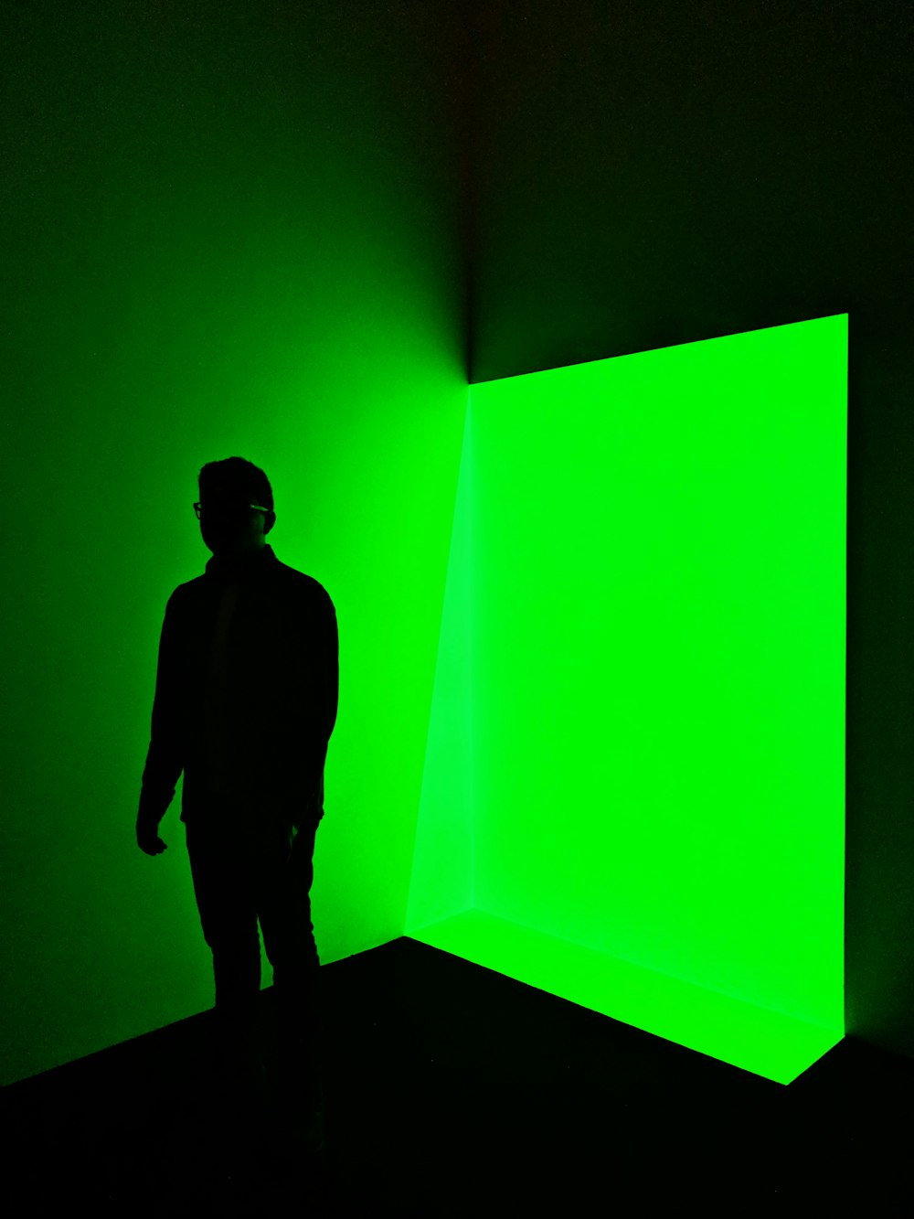 silhouette photography of man inside room