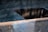 A square pool of water with a central void creates a calm and reflective ambiance. The surface of the water shimmers with a slight ripple effect, and there is a gentle play of shadows on the water. The edge of the pool features smooth stone with a light sheen.