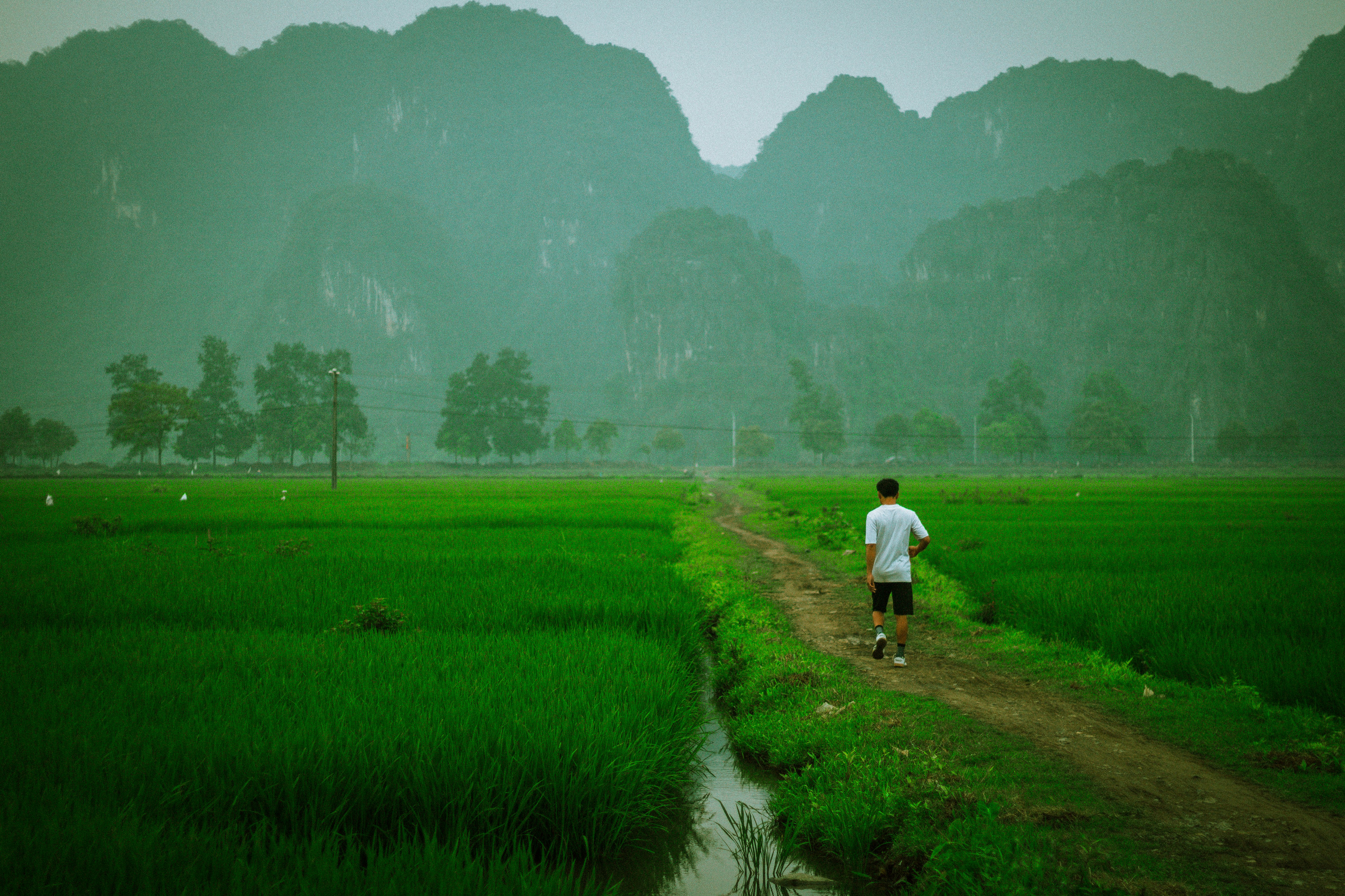 Cat Ba National Park