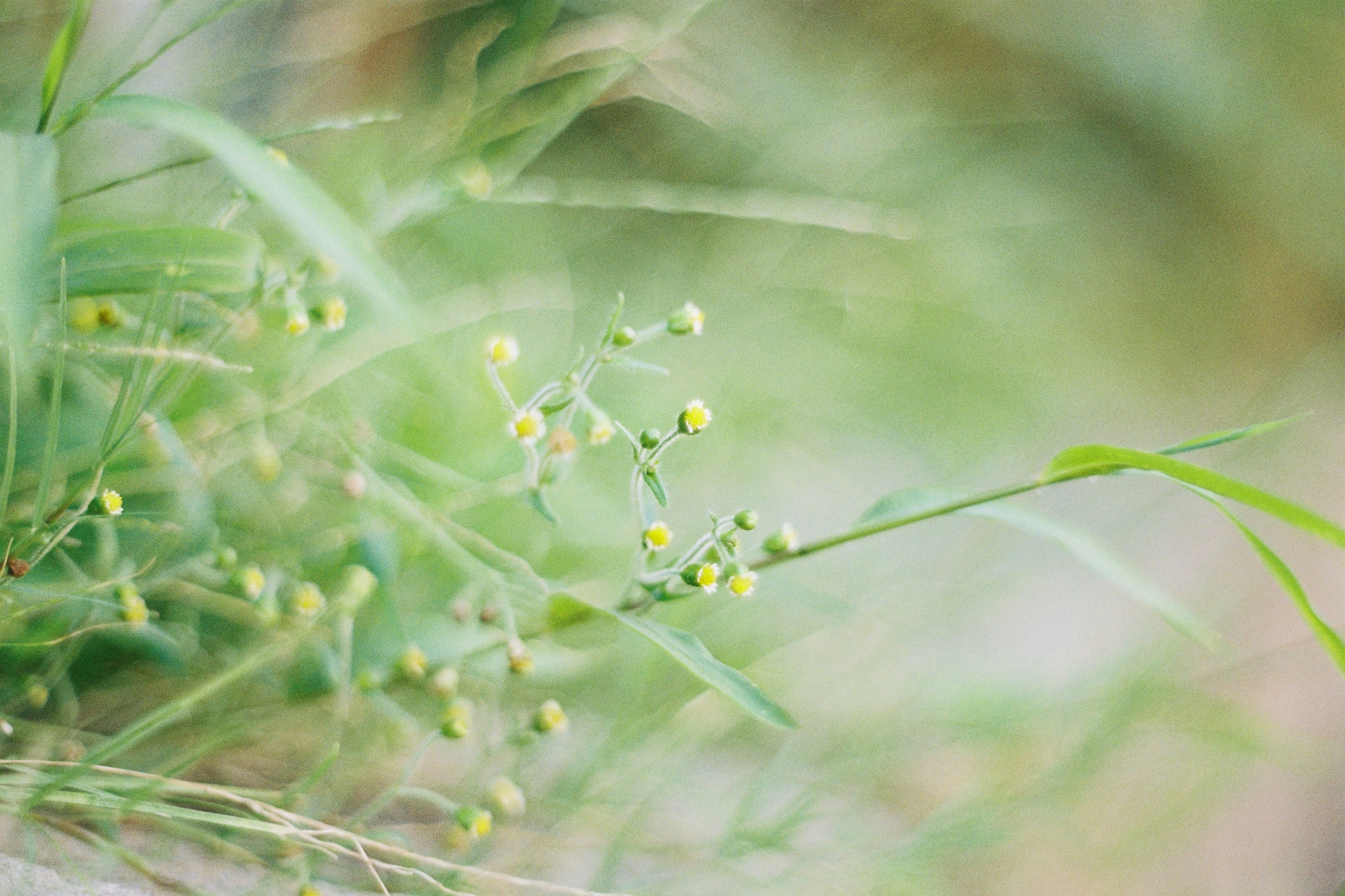 Photo by ningmengmozi