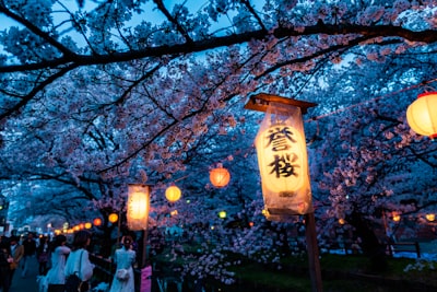 beige and black lamp on green tree during nighttime sakura teams background