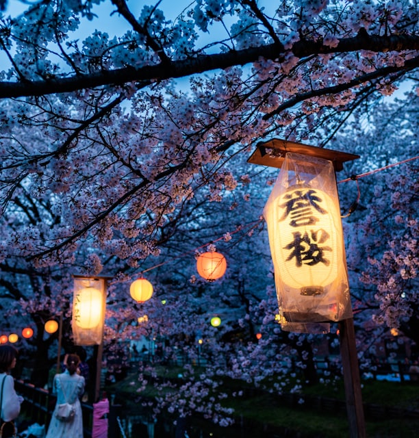 beige and black lamp on green tree during nighttime