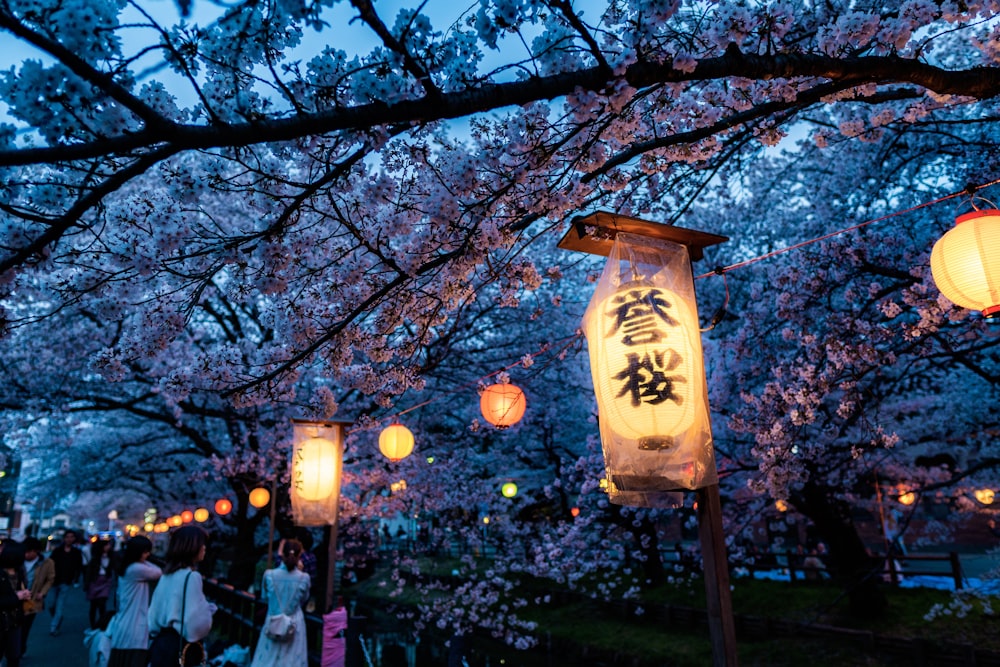 beige and black lamp on green tree during nighttime