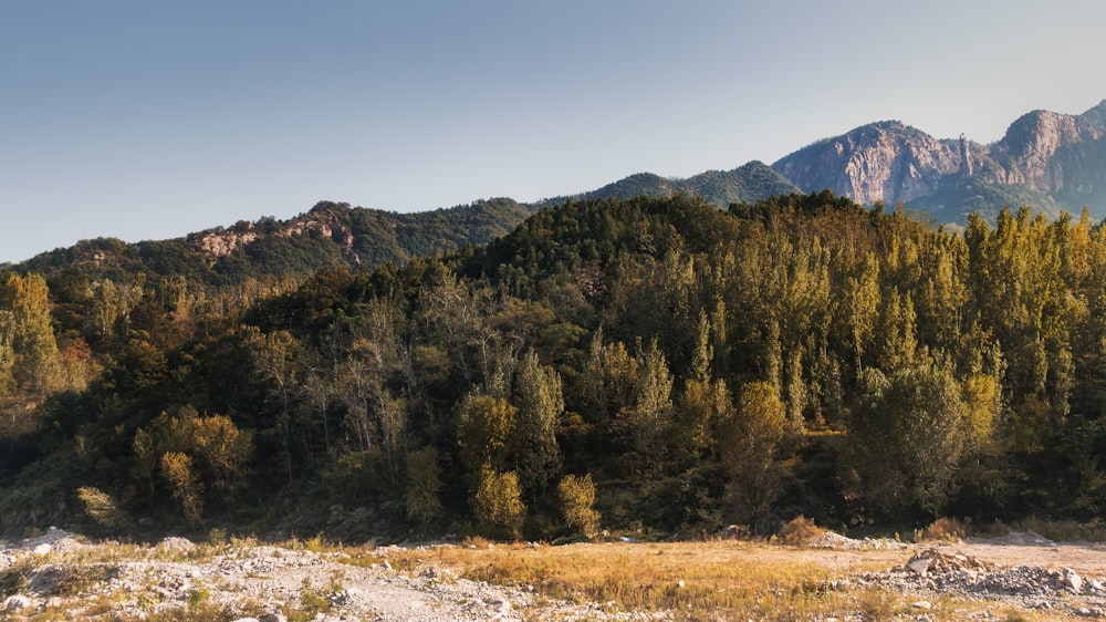 mountain during daytime