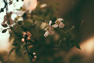 An original artwork piece with floral themes, softly lit to highlight its textures and colors.