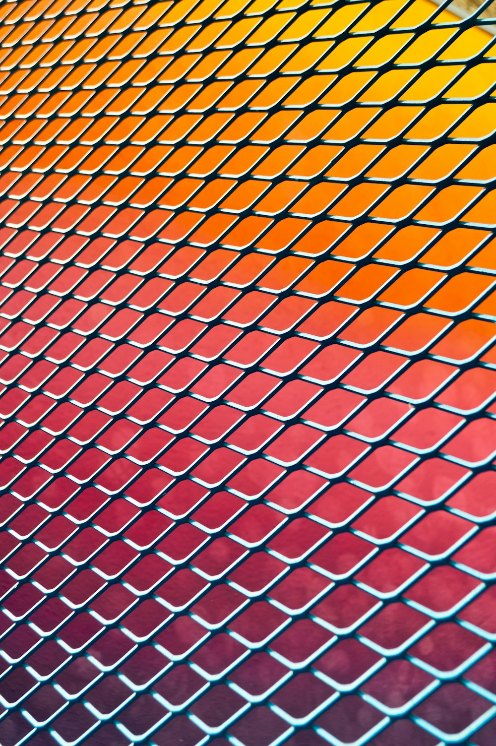 a close up of a metal fence with a rainbow colored background