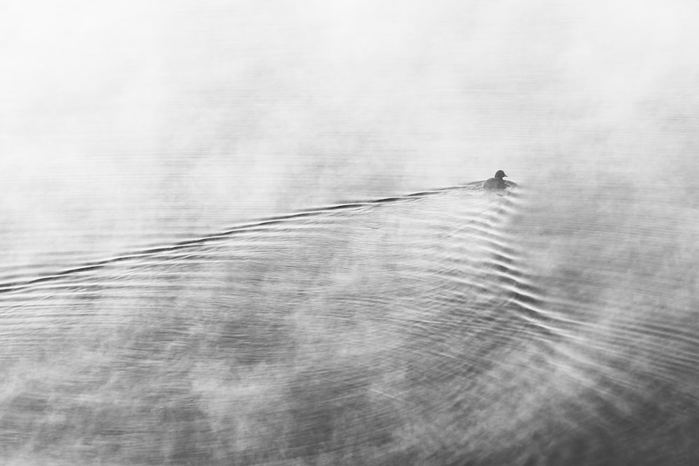 Una foto en blanco y negro de un barco en el agua