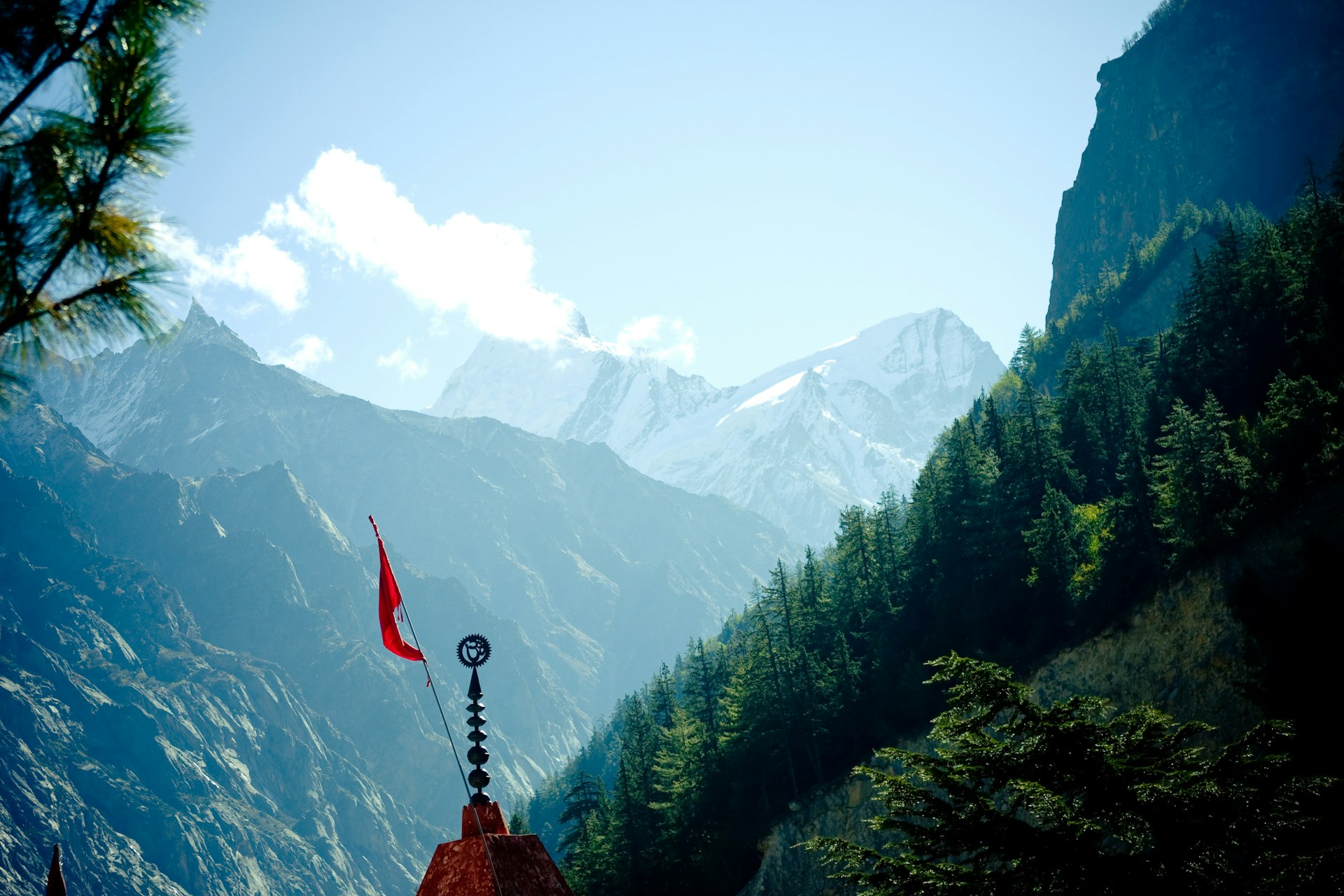 green trees near mountain during daytime