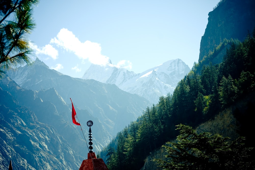 green trees near mountain during daytime