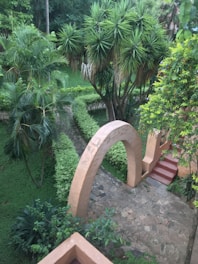 A lush green garden area with well-maintained plants and pathways.