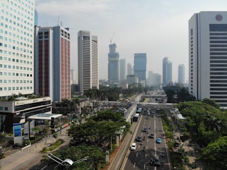 vehicles on roadway between high rise buildings