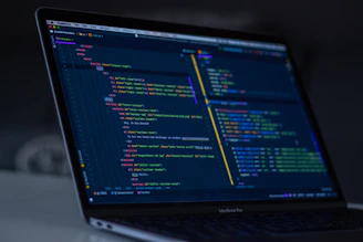 turned-on MacBook Pro wit programming codes display