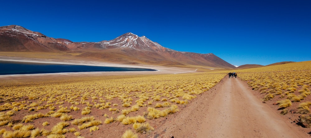 people walking on rough road