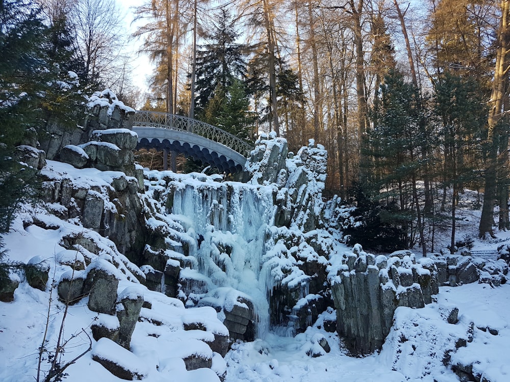 Brücke in der Nähe von Bäumen bei Schnee