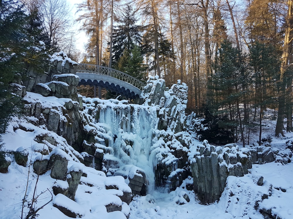 bridge near trees during snow