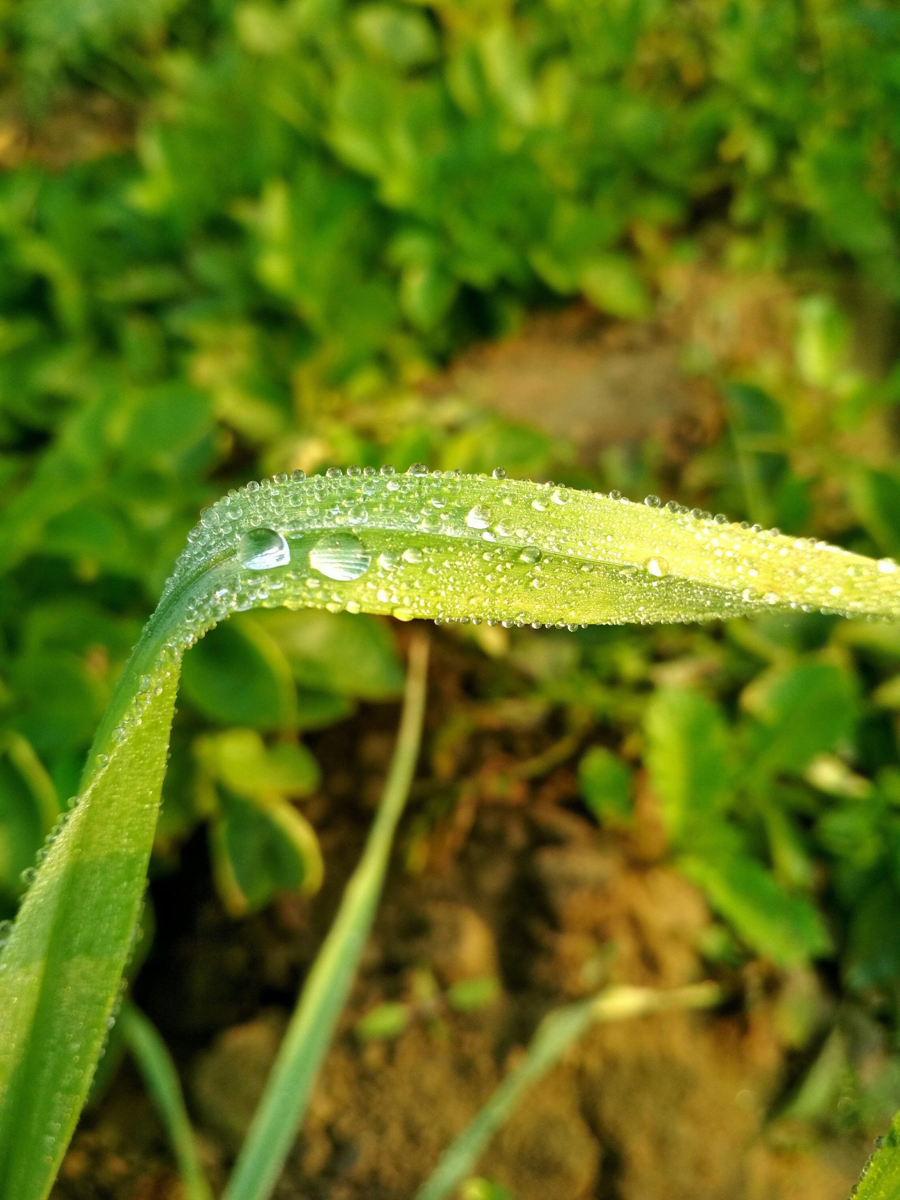 Photo by thesujeetbabu