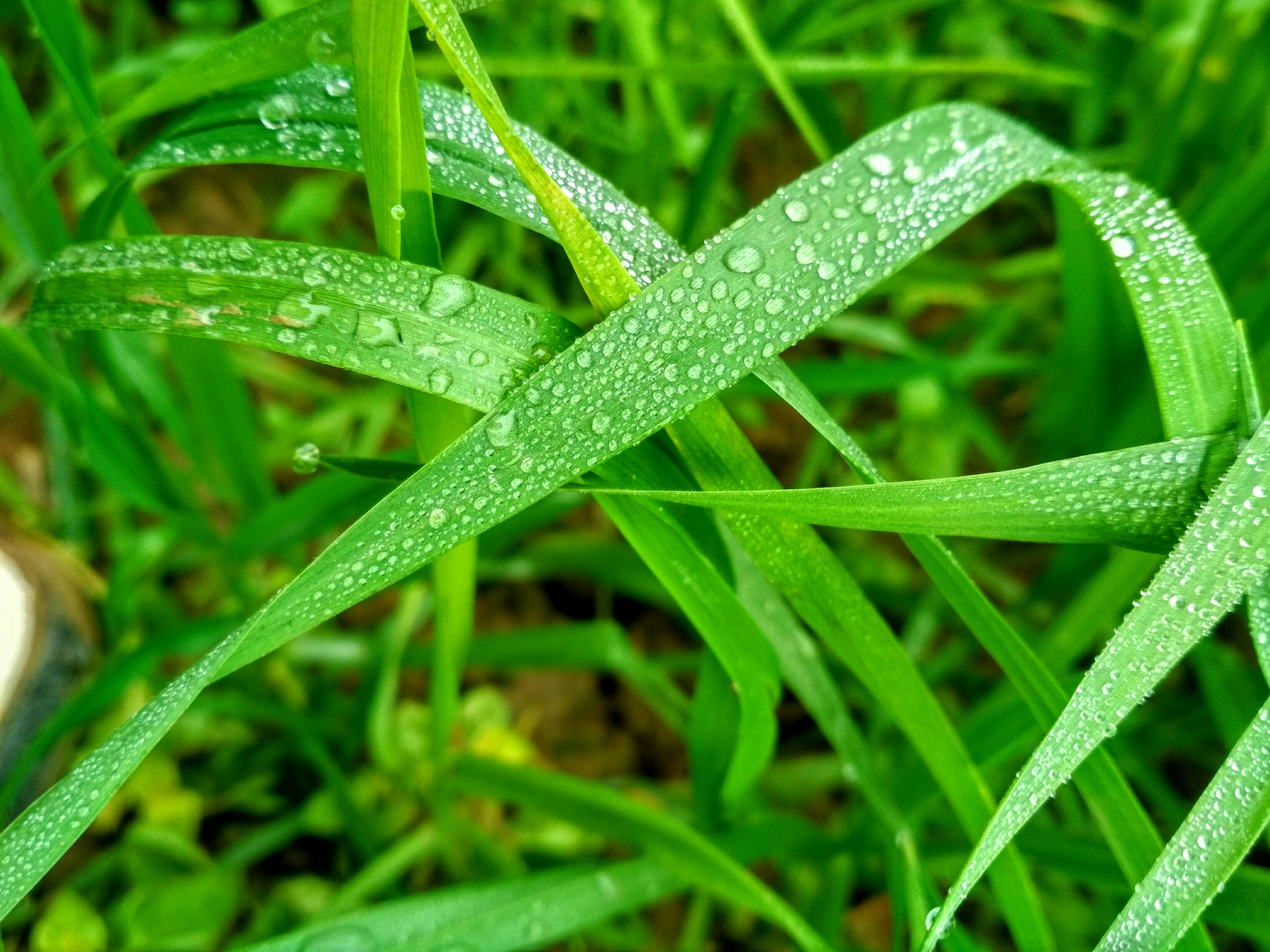 Photo by thesujeetbabu