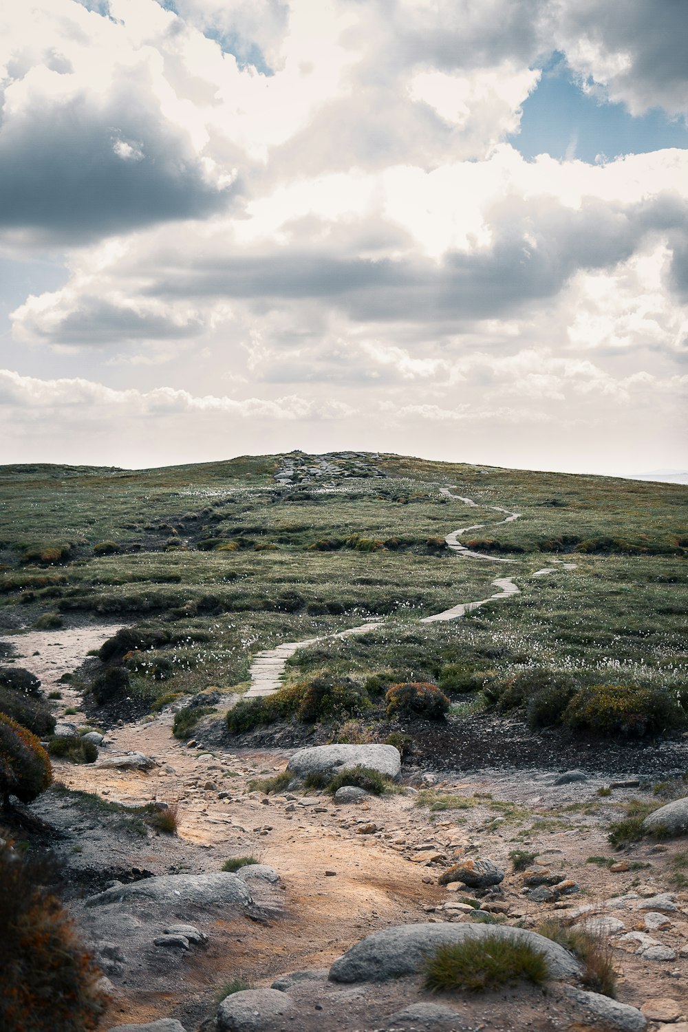 landscape photography of mountain