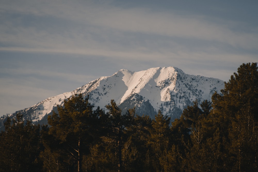 雪に覆われた山