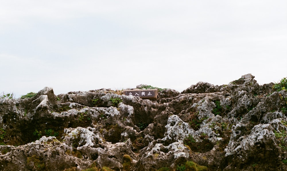 rock formations under white sky