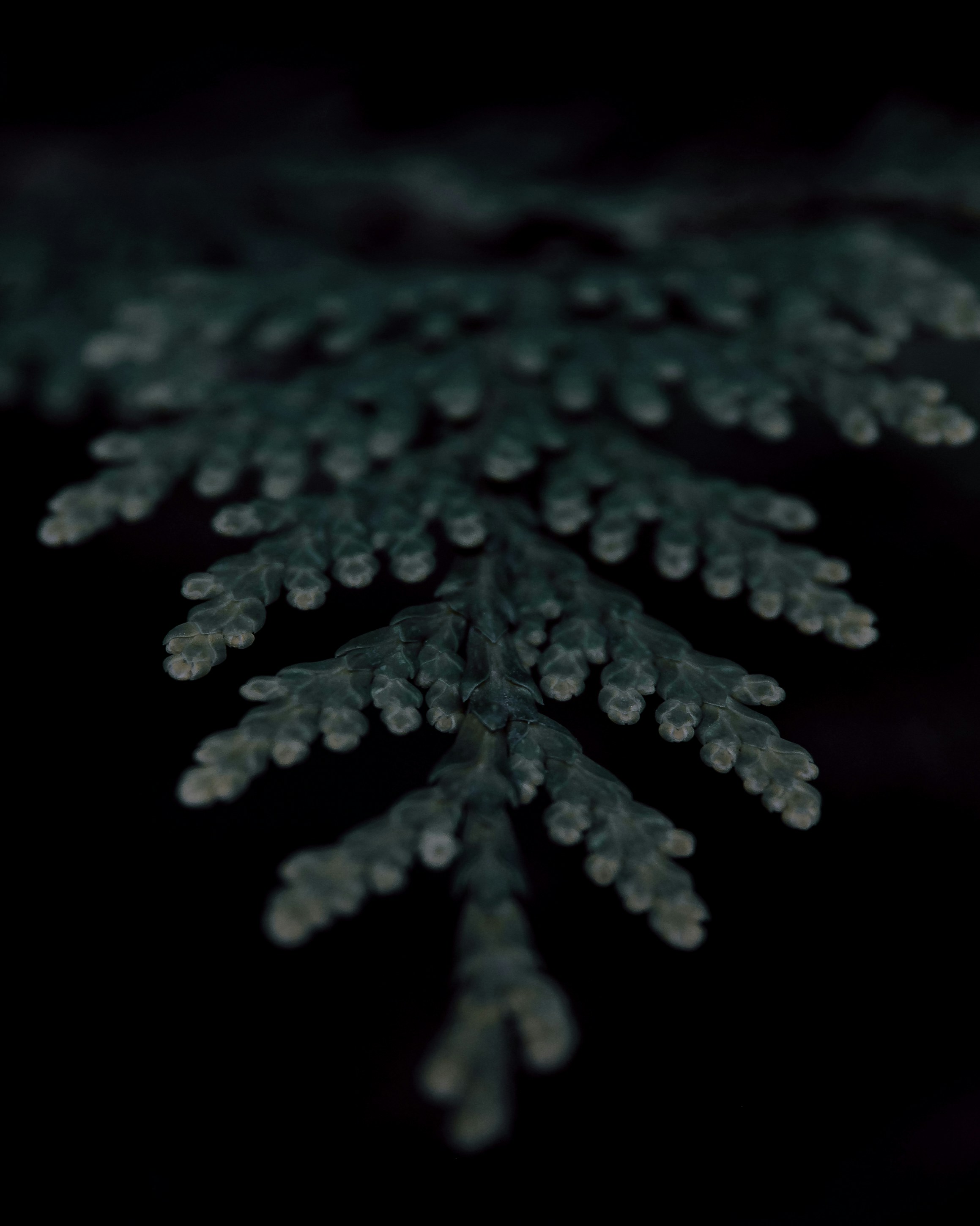 Photo by kirillpershin