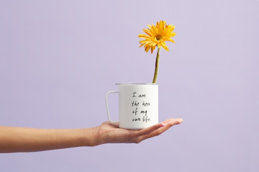 blooming yellow gerbera daisy flower in white and black mug