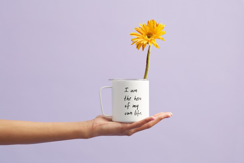 blooming yellow gerbera daisy flower in white and black mug