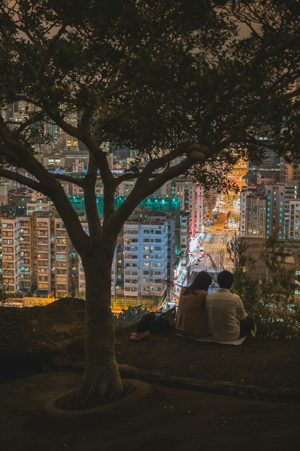 a couple of people sitting under a tree