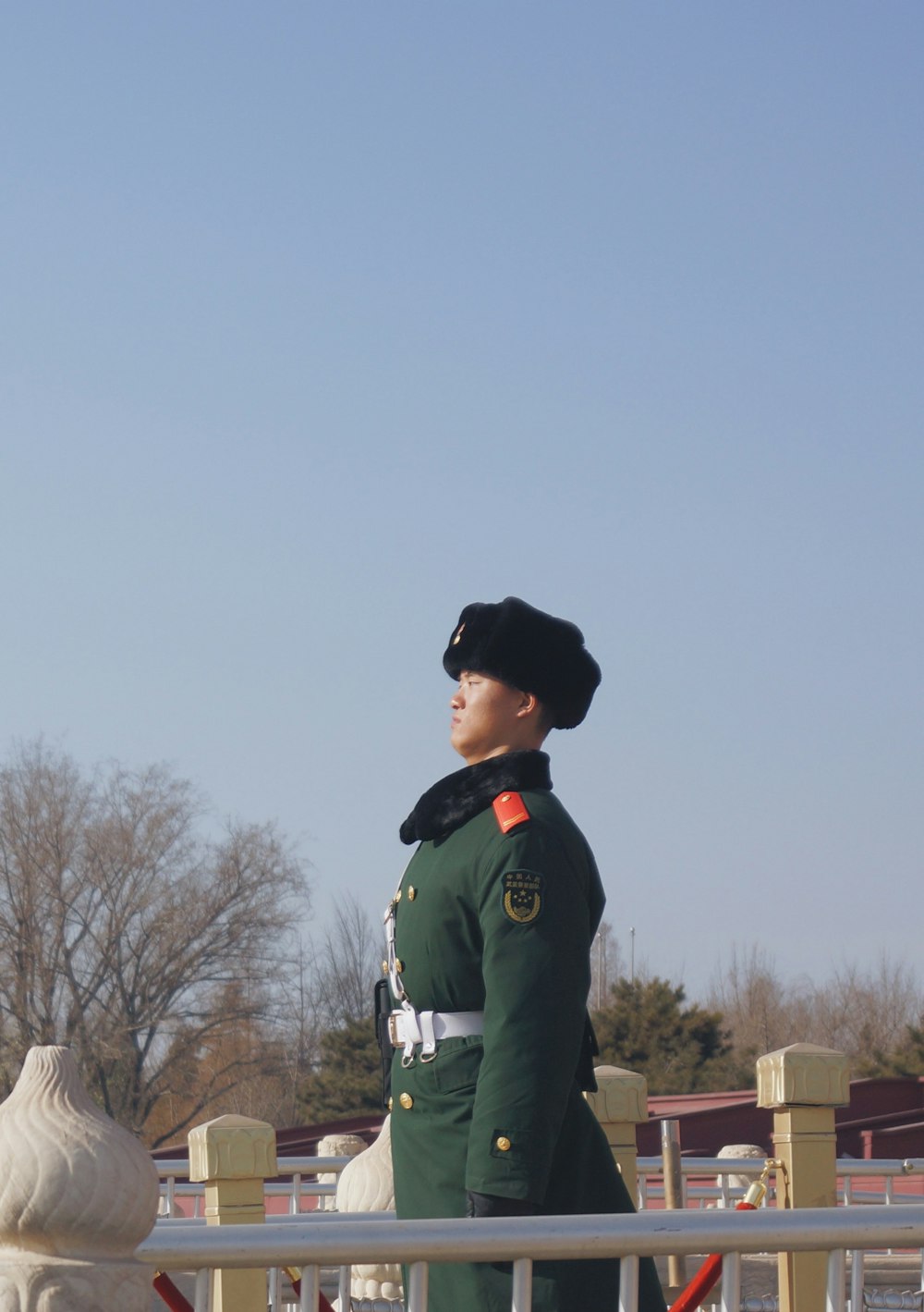 man standing beside leafless trees