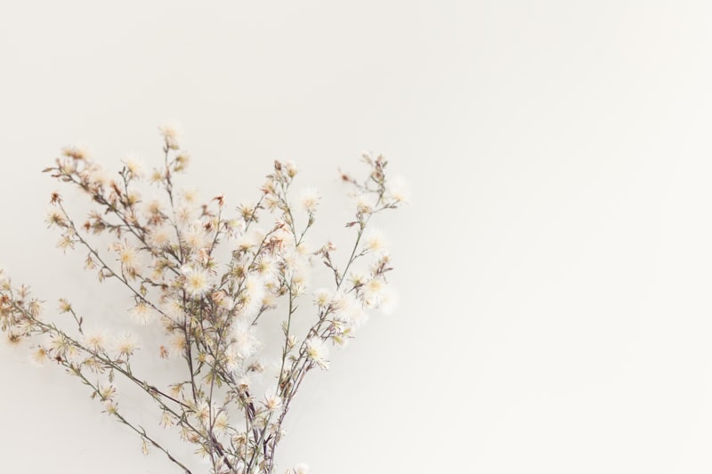 Floral Perfume