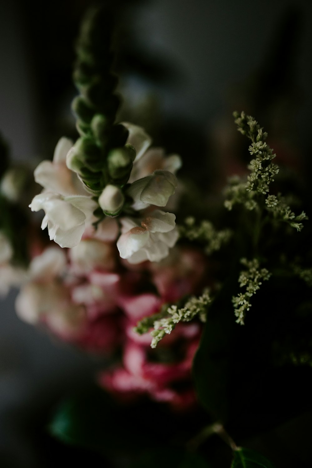 Photographie sélective de fleurs blanches et roses