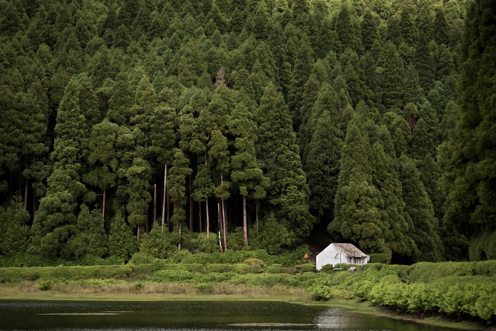 white house beside body of water