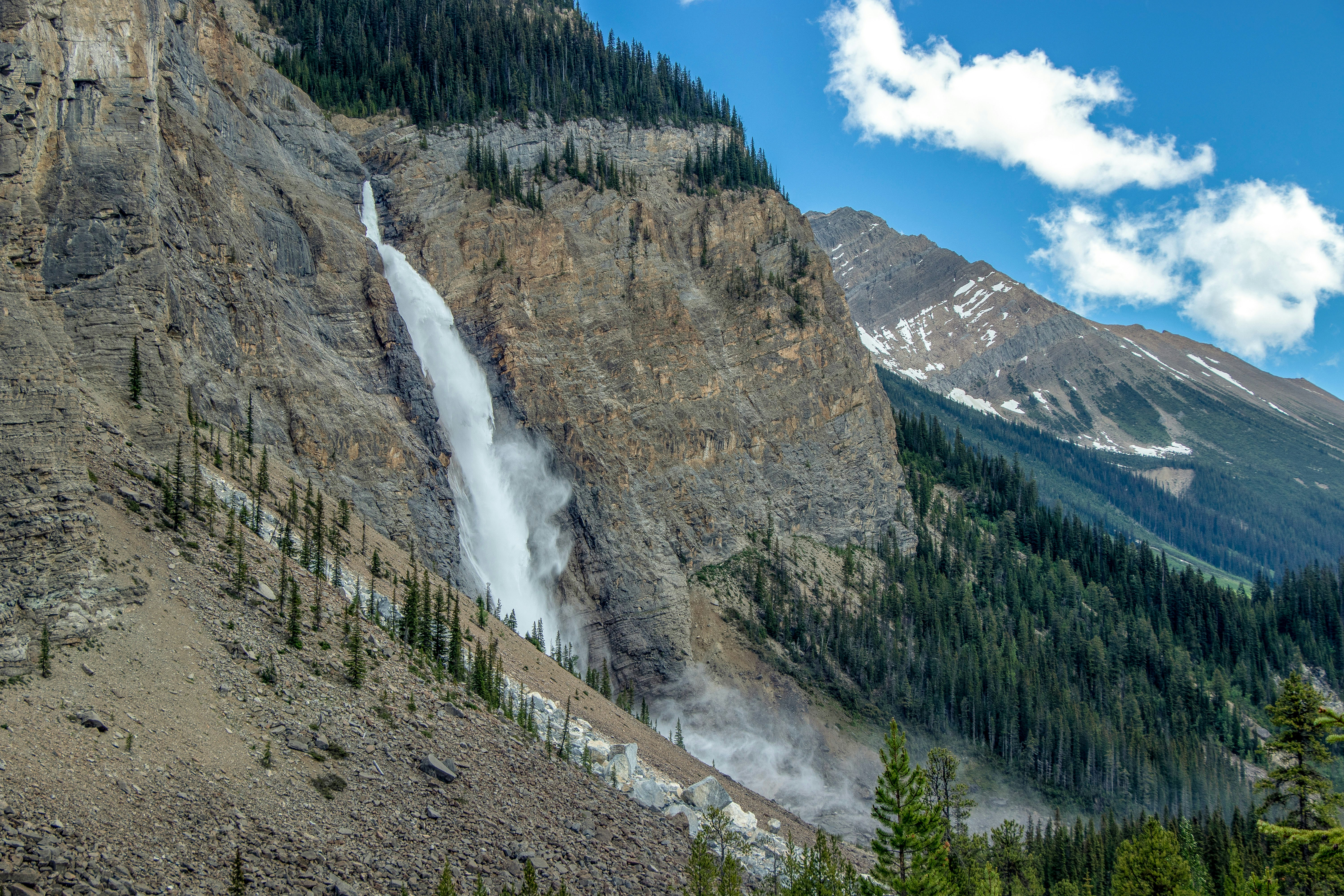 waterfalls and trees