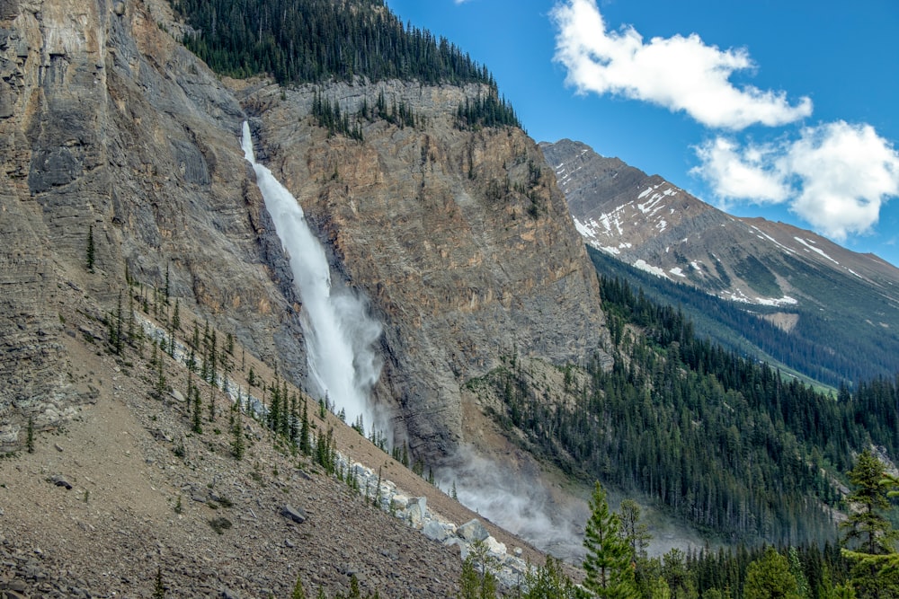 waterfalls and trees