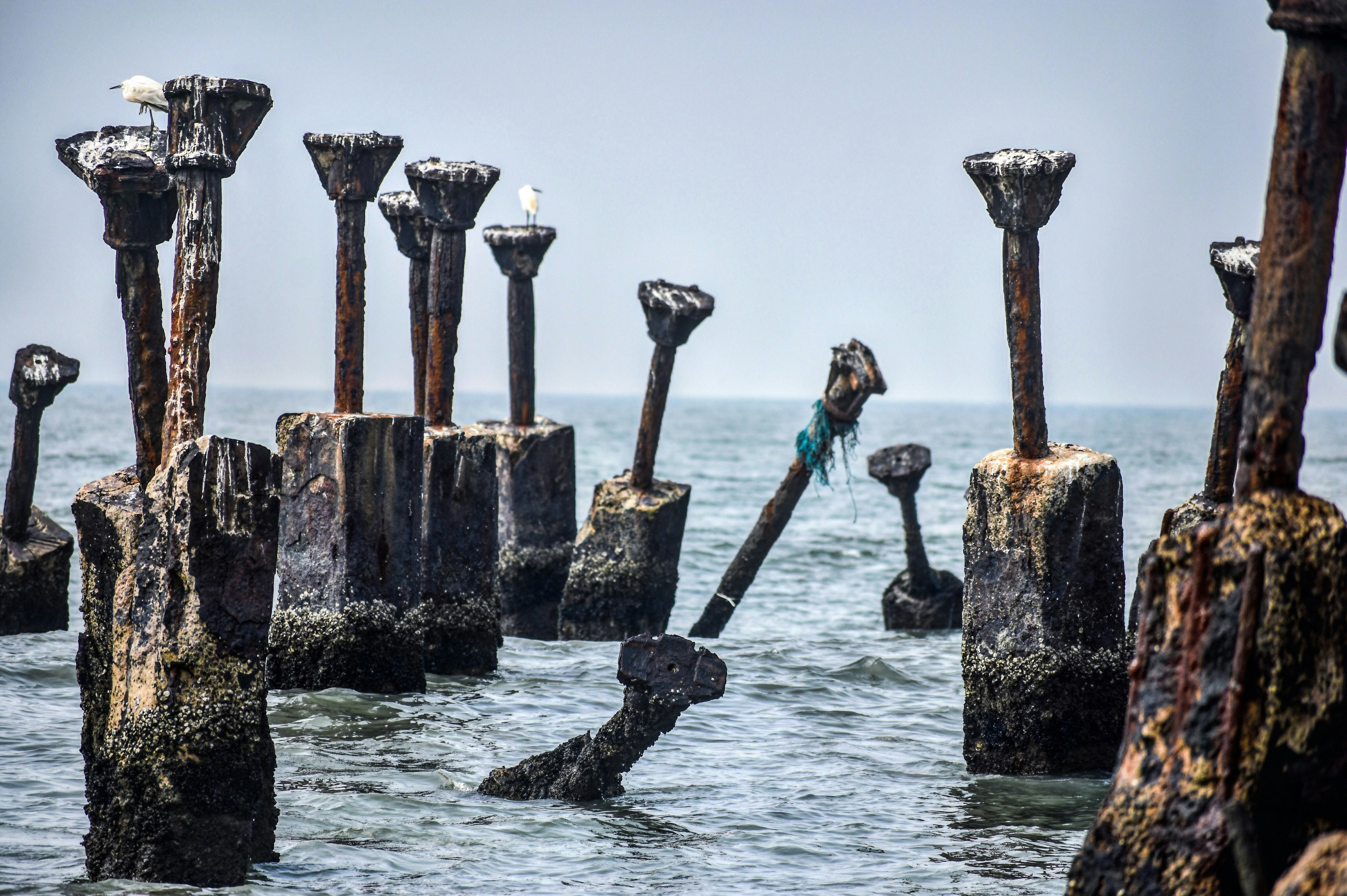 brown metal tool on body of water