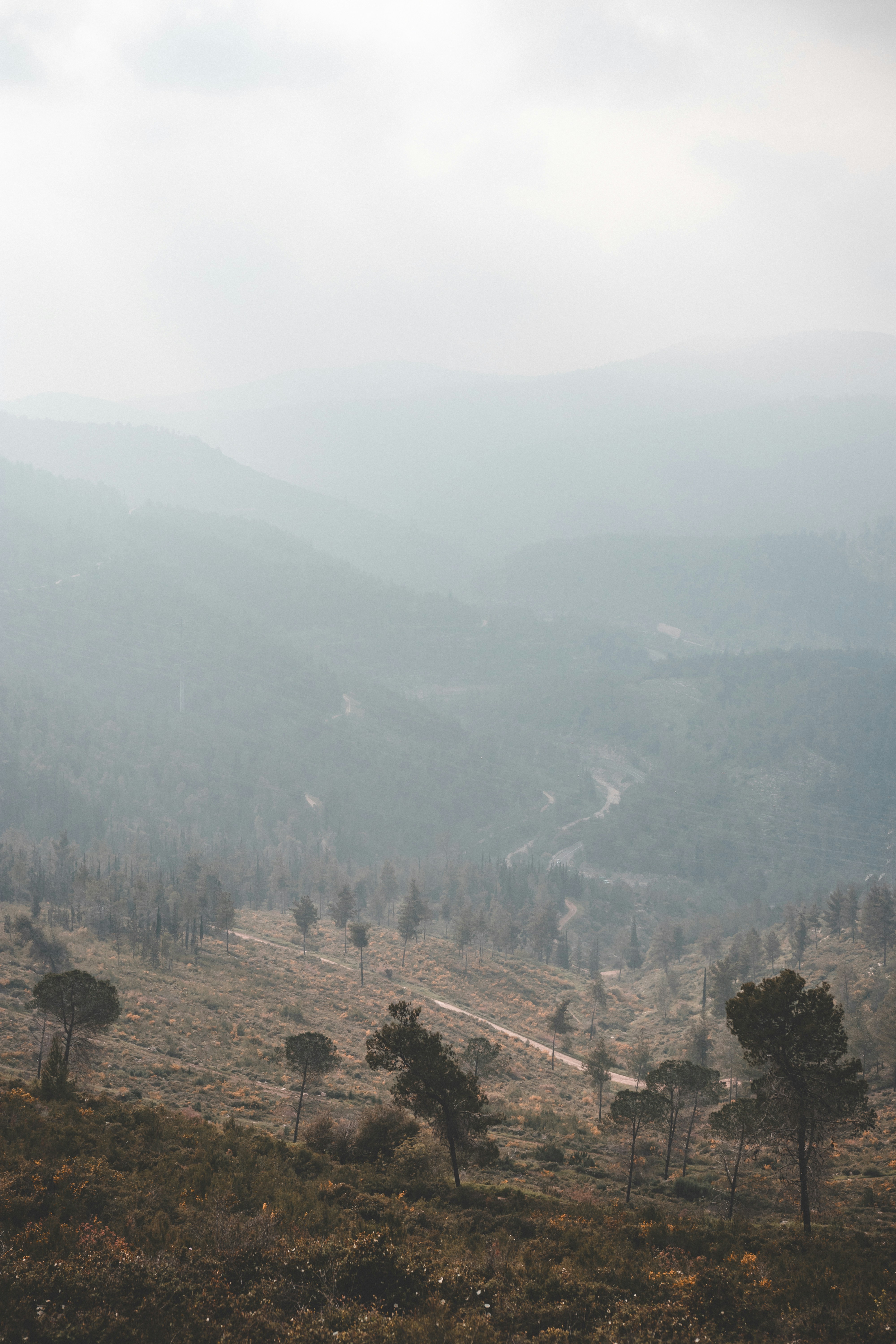 Photo by omrimassarwe