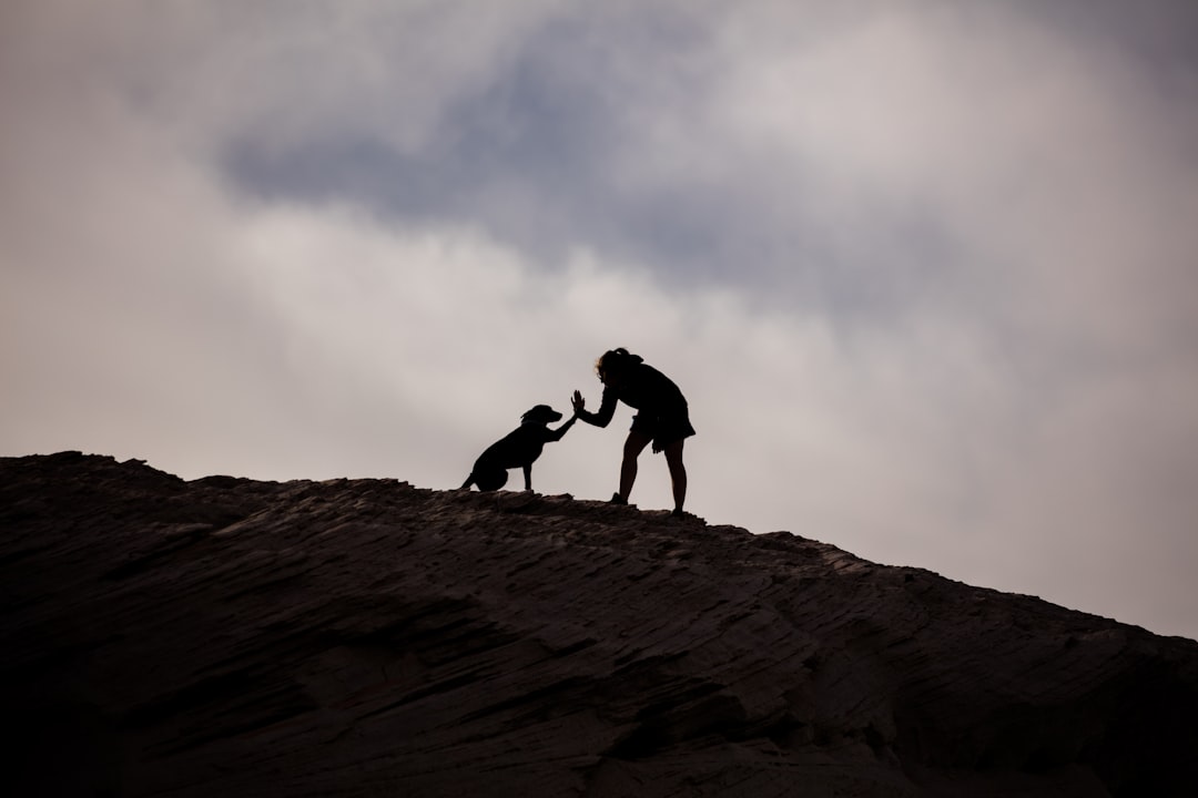 silhouette of person and dog on hill during daytime