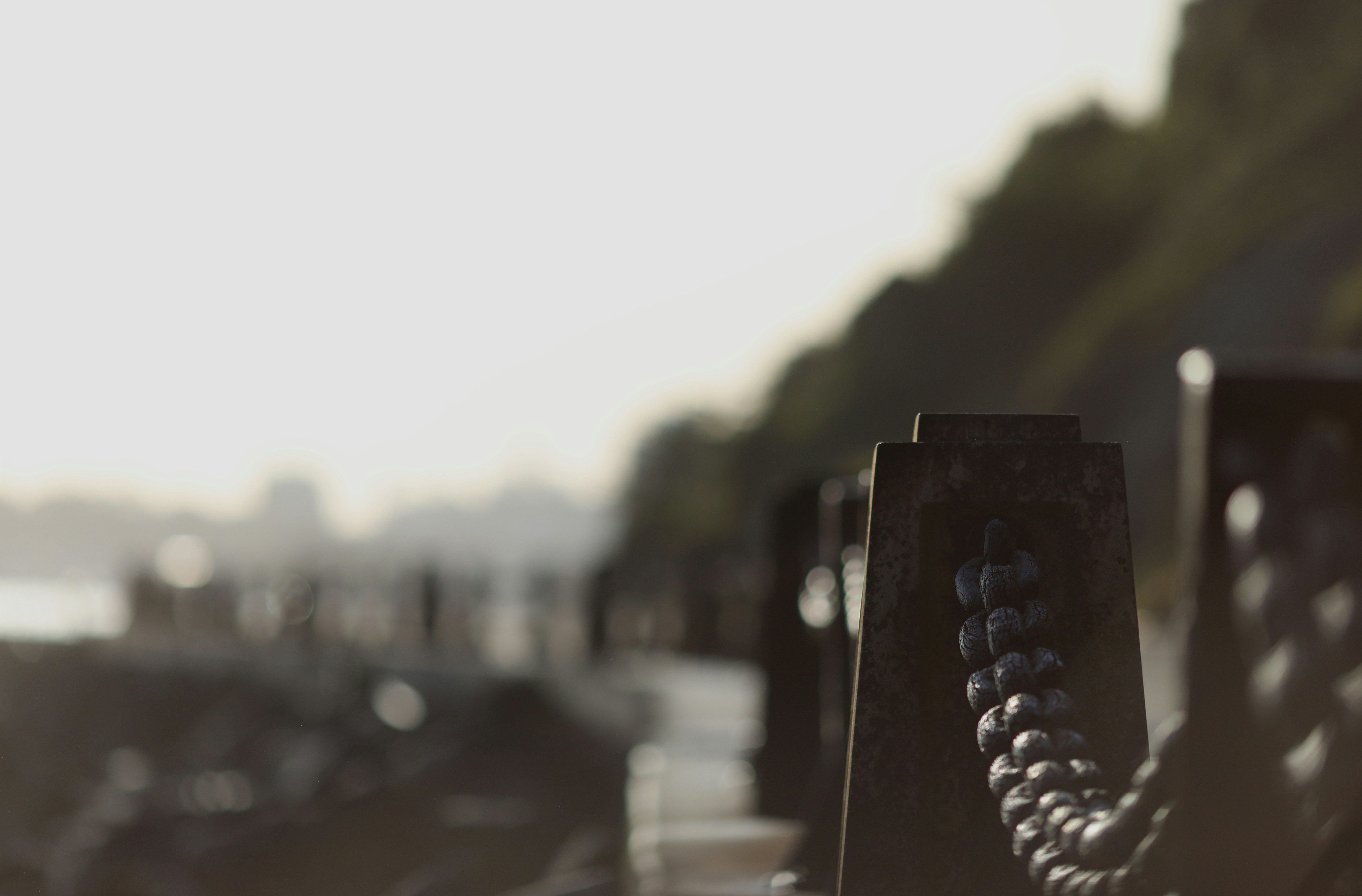 selective focus photography of chain