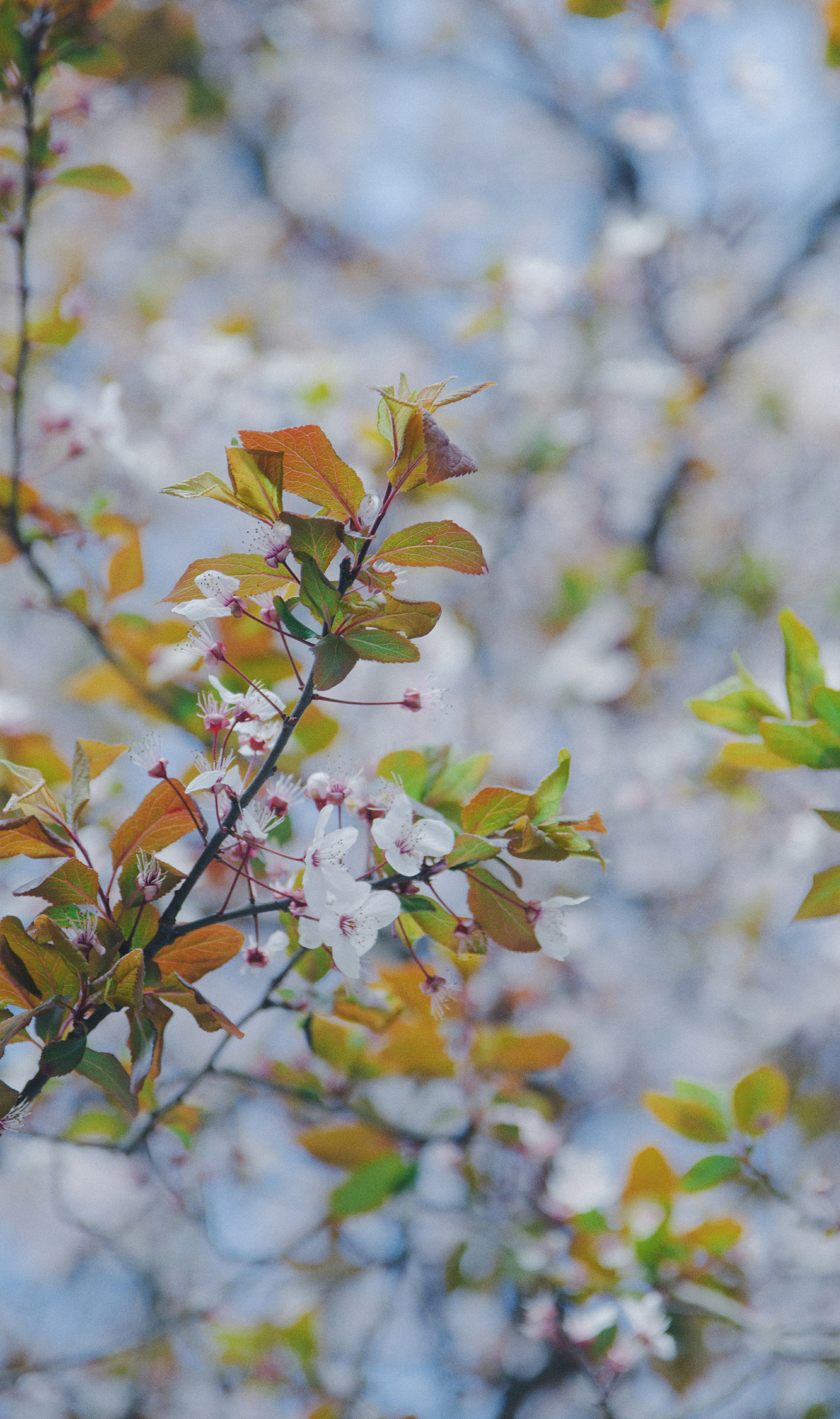 Photo by 1amfcs
