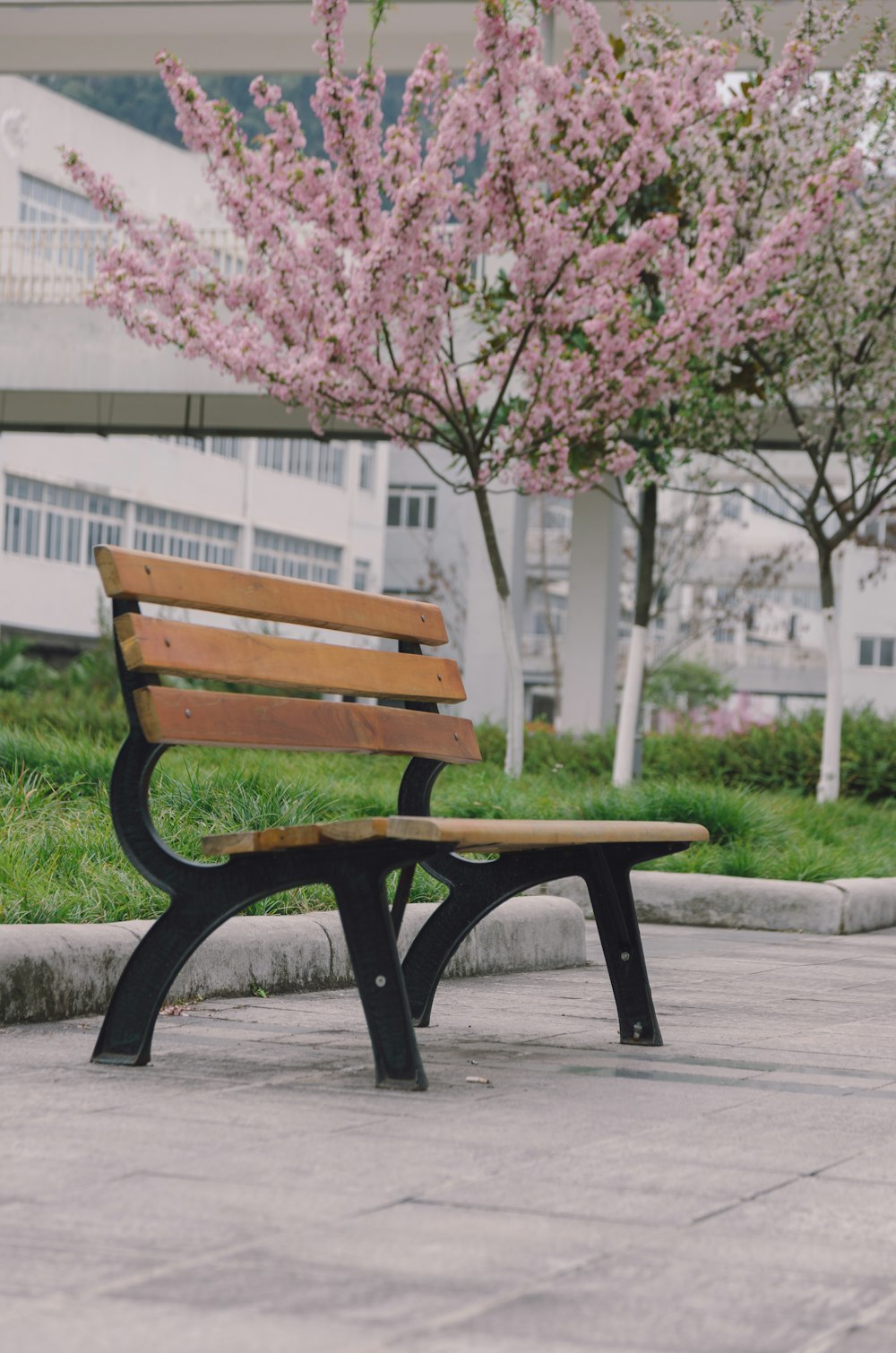 black and brown wooden bench