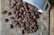 Elegant coffee beans spilling from a burlap sack onto a marble countertop.