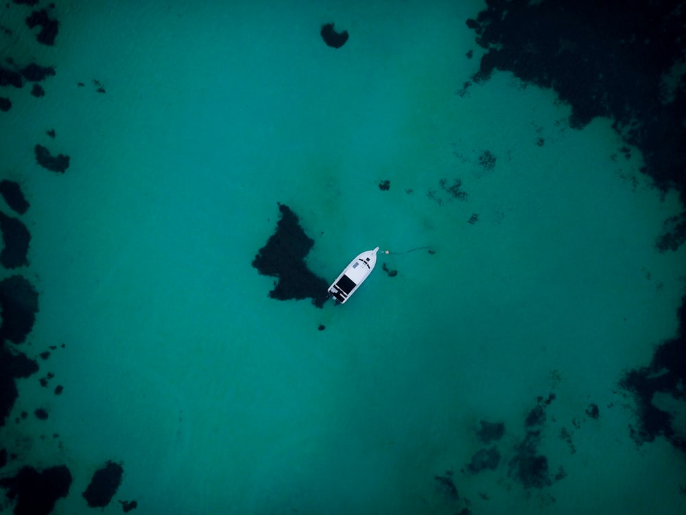 white and black boat