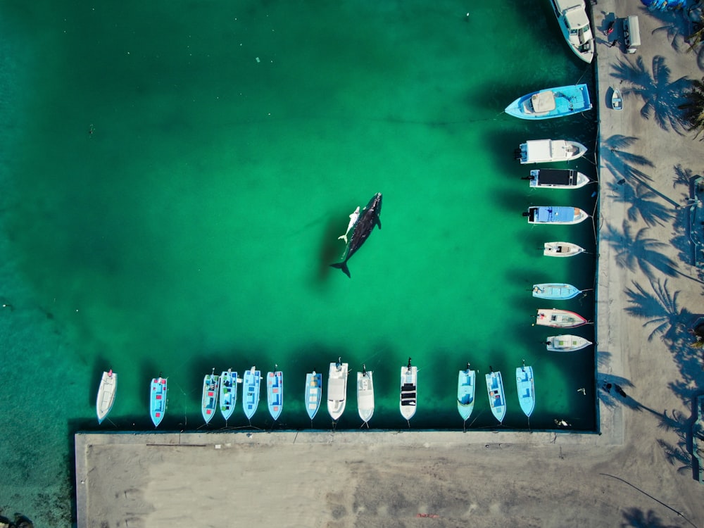 high-angle photography of boats beside brown dock